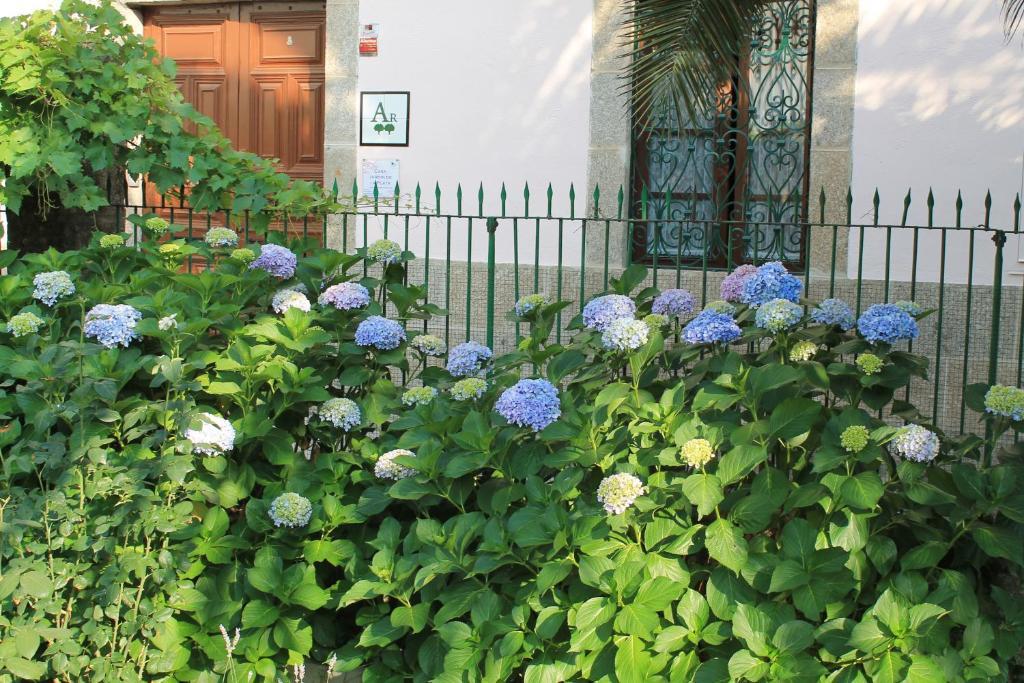 Appartamento Casa Jardin De La Plata Banos De Montemayor Esterno foto